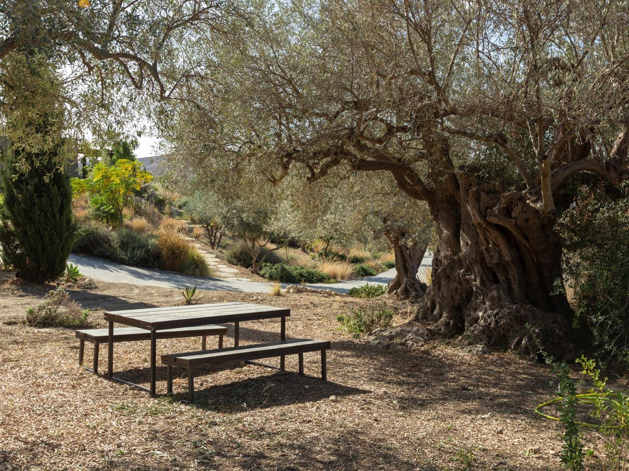 Buahjar Boutique Home Apartment Agrigento Exteriör bild